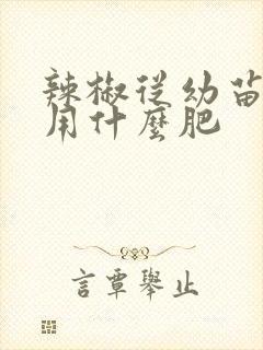 辣椒从幼苗开始用什么肥