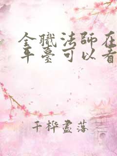 全职法师在哪个平台可以看