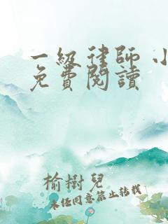 一级律师 小说免费阅读