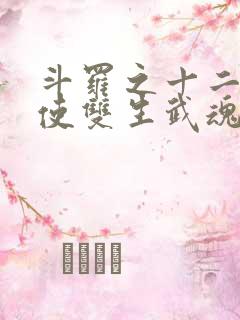 斗罗之十二翼天使双生武魂