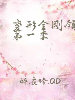 变形金刚领袖的第一季