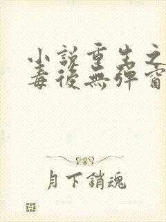 小说重生之将门毒后无弹窗