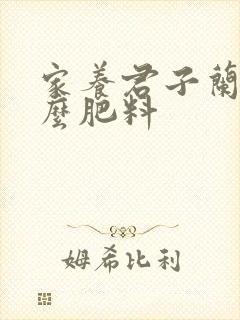 家养君子兰用什么肥料