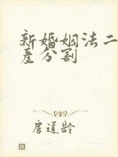 新婚姻法二婚财产分割 新婚姻法二婚财产分割