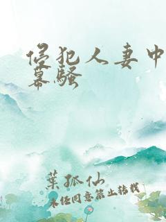 侵犯人妻中文字幕骚