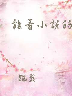 能看小说的手表 能看小说的手表