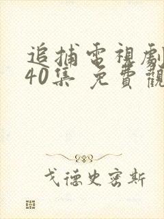 追捕电视剧 共40集 免费观看