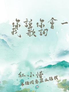 你说你会一直爱我 歌词