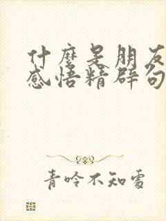 什么是朋友人生感悟精辟句子?