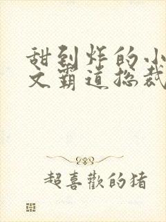 甜到炸的小说宠文霸道总裁