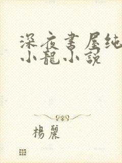 深夜书屋纯洁滴小龙小说
