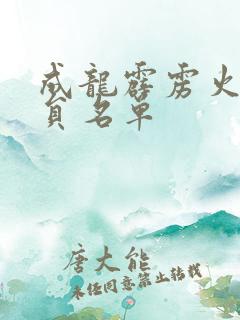 成龙霹雳火女演员名单