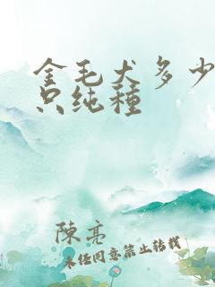 金毛犬多少钱一只纯种