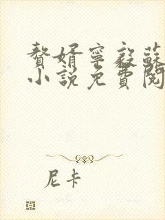 赘婿宁毅苏檀儿小说免费阅读全文