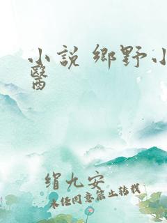 小说 乡野小村医