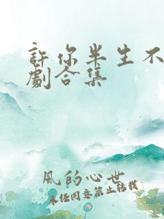 许你半生不见短剧合集