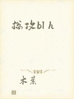 总攻bl h
