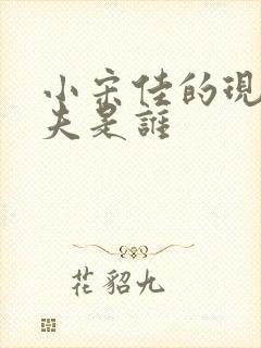 小宋佳的现任丈夫是谁