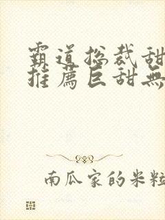 霸道总裁甜宠文推荐巨甜无虐