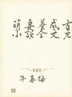萌妻养成方程式小说全文免费阅读
