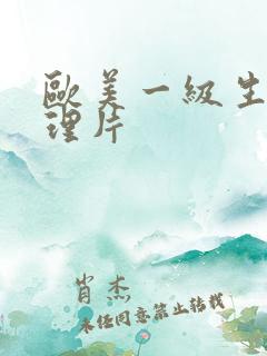 欧美一级生活伦理片