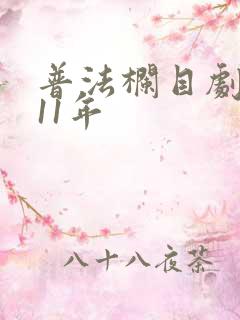 普法栏目剧2011年