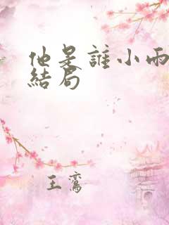 他是谁小雨最后结局