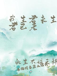 我生君未生我生君已老