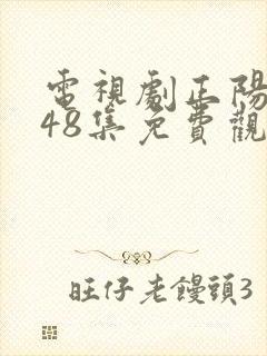 电视剧正阳门下48集免费观看