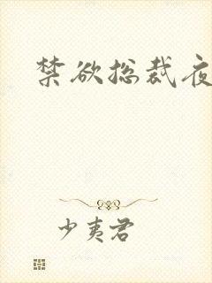 禁欲总裁夜夜缠