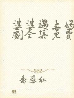 婆婆遇上妈电视剧全集免费播放
