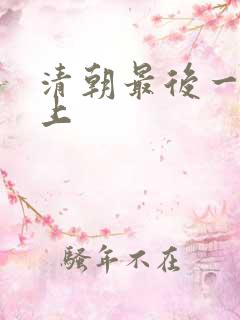 清朝最后一代皇上