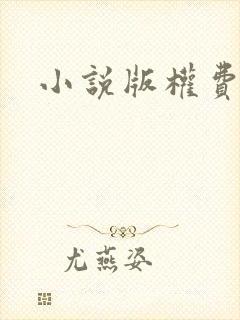 小说版权费用