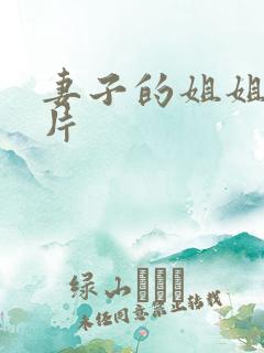 妻子的姐姐伦理片