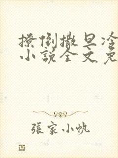 撩倒撒旦冷殿下小说全文免费阅读