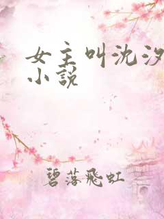 女主叫沈汐月的小说