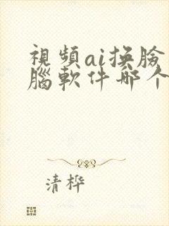 视频ai换脸电脑软件哪个好