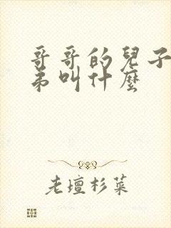 哥哥的儿子叫弟弟叫什么