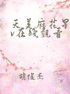 天美麻花星空mv在线观看