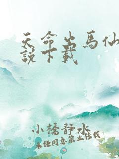 天命出马仙2小说下载