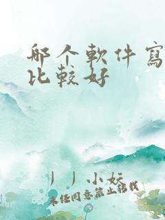 哪个软件写小说比较好