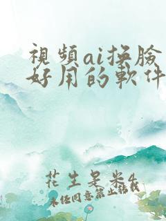 视频ai换脸最好用的软件