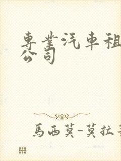 专业汽车租赁 公司