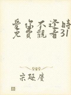 爱你不逢时短剧免费观看31集播放