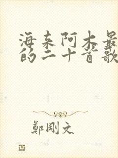 海来阿木最好听的二十首歌曲