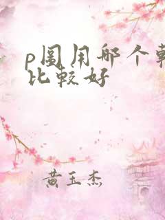 p图用哪个软件比较好