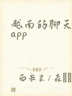 越南的聊天软件app