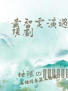 黄智雯演过的电视剧
