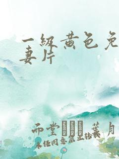 一级黄色免费夫妻片