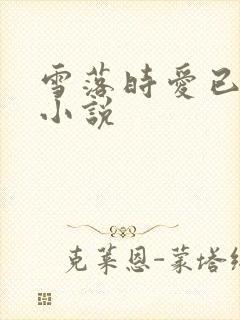 雪落时爱已落幕小说